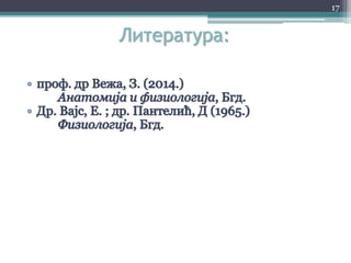 Литература:
17
 