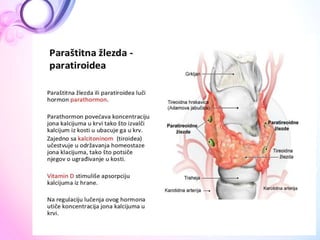 Endokrini sistem | PPTX