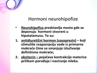  ANATOMIJA Endokrini sistem