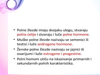  ANATOMIJA Endokrini sistem