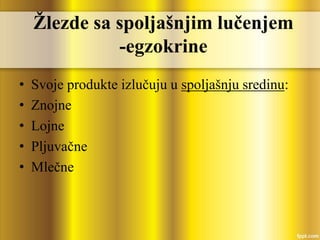 Žlezde sa spoljašnjim lučenjem
-egzokrine
• Svoje produkte izlučuju u spoljašnju sredinu:
• Znojne
• Lojne
• Pljuvačne
• Mlečne
 