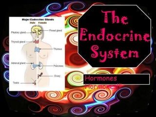 Endokrini sistem 