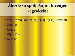Žlezde sa spoljašnjim lučenjem
-egzokrine
• Svoje produkte izlučuju u spoljašnju sredinu:
• Znojne
• Lojne
• Pljuvačne
• Mlečne
 