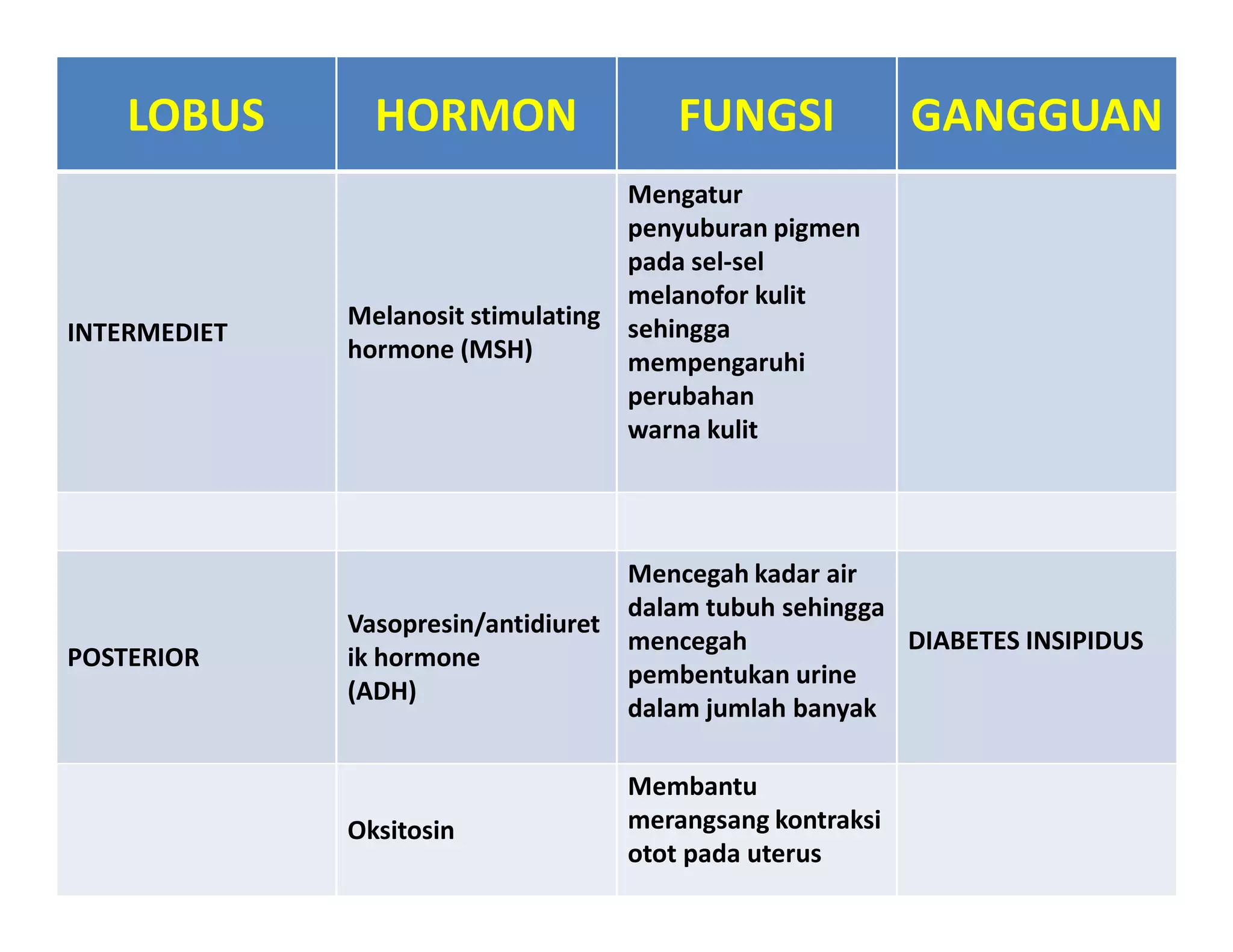 LOBUS       HORMON                 FUNGSI             GANGGUAN
                                    Mengatur
                                    penyuburan pigmen
                                    pada sel-sel
                                    melanofor kulit
              Melanosit stimulating sehingga
INTERMEDIET
              hormone (MSH)         mempengaruhi
                                    perubahan
                                    warna kulit




                                    Mencegah kadar air
                                    dalam tubuh sehingga
              Vasopresin/antidiuret
                                    mencegah             DIABETES INSIPIDUS
POSTERIOR     ik hormone
                                    pembentukan urine
              (ADH)
                                    dalam jumlah banyak

                                   Membantu
              Oksitosin            merangsang kontraksi
                                   otot pada uterus
 