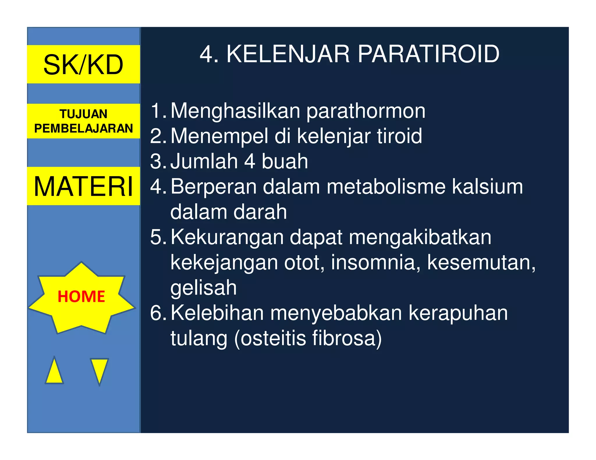SK/KD              4. KELENJAR PARATIROID

   TUJUAN      1. Menghasilkan parathormon
PEMBELAJARAN
               2. Menempel di kelenjar tiroid
               3. Jumlah 4 buah
MATERI         4. Berperan dalam metabolisme kalsium
                  dalam darah
               5. Kekurangan dapat mengakibatkan
                  kekejangan otot, insomnia, kesemutan,
  HOME            gelisah
               6. Kelebihan menyebabkan kerapuhan
                  tulang (osteitis fibrosa)
 