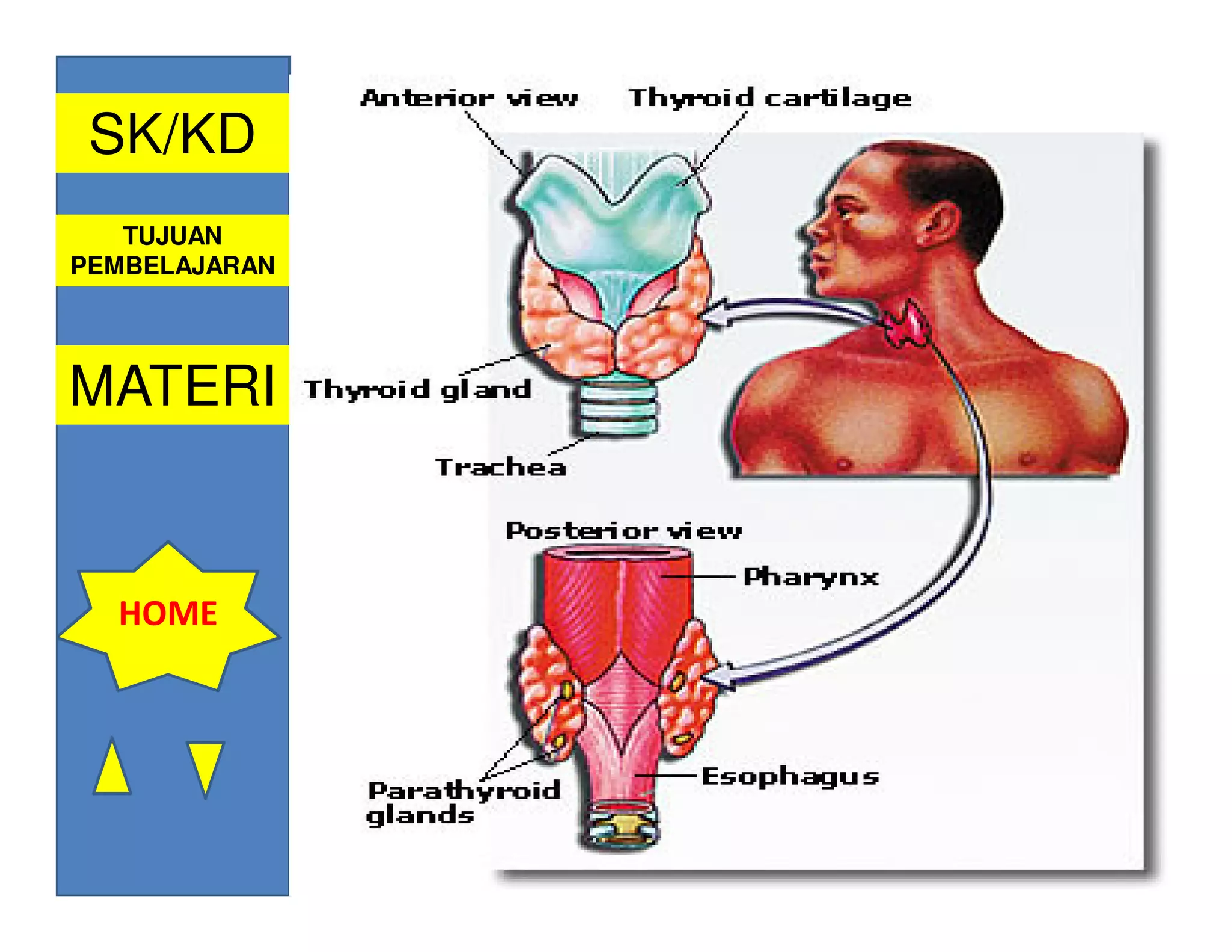 SK/KD
   TUJUAN
PEMBELAJARAN




MATERI


  HOME
 