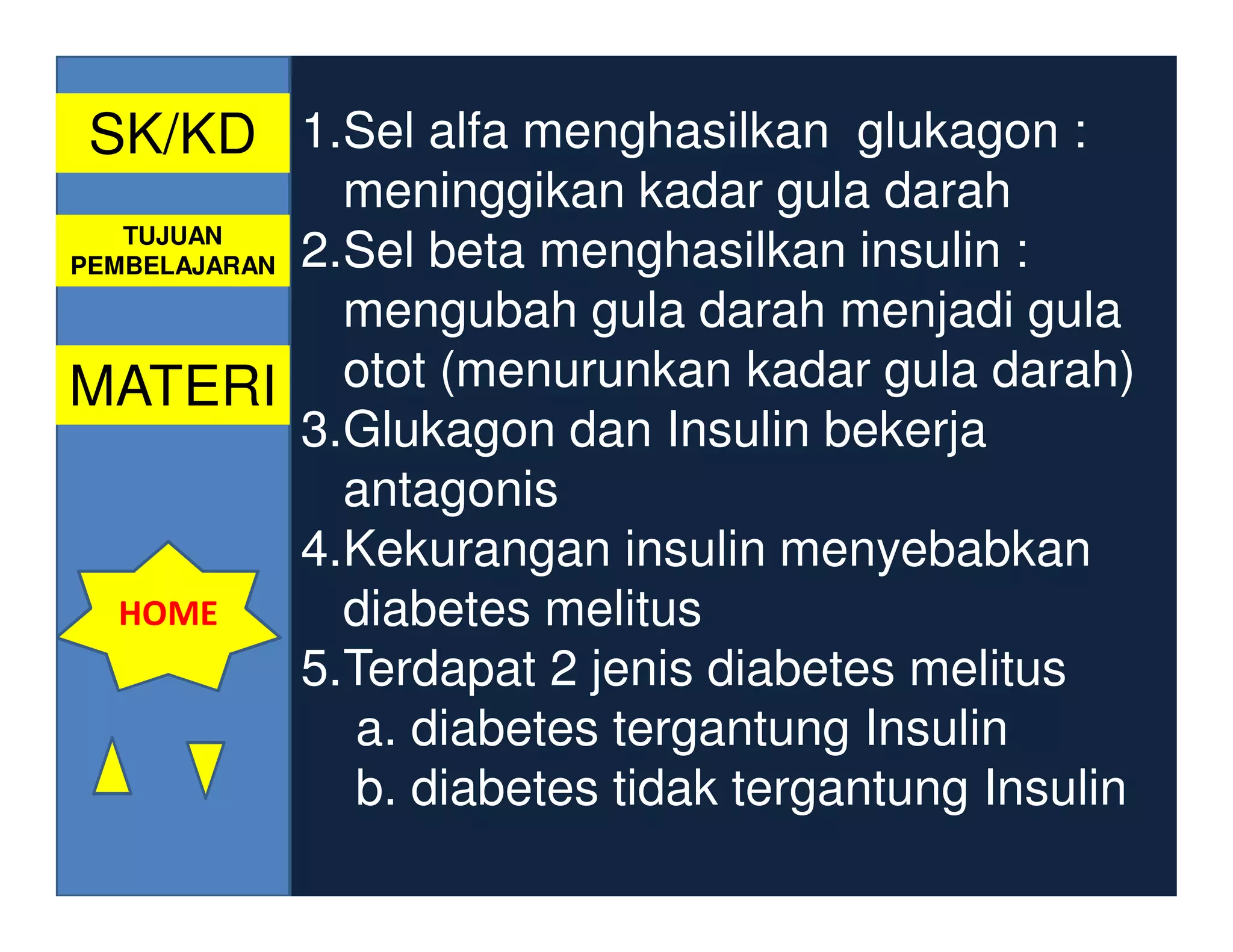 SK/KD 1.Sel alfa menghasilkan glukagon :
               meninggikan kadar gula darah
   TUJUAN
PEMBELAJARAN 2.Sel beta menghasilkan insulin :

               mengubah gula darah menjadi gula
MATERI otot (menurunkan kadar gula darah)
             3.Glukagon dan Insulin bekerja
               antagonis
             4.Kekurangan insulin menyebabkan
   HOME        diabetes melitus
             5.Terdapat 2 jenis diabetes melitus
                a. diabetes tergantung Insulin
                b. diabetes tidak tergantung Insulin
 