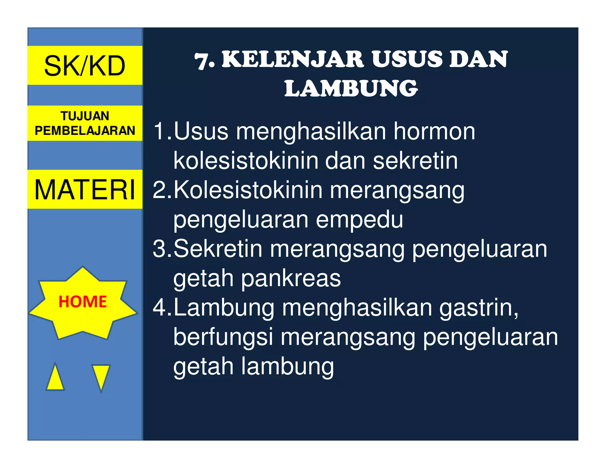 SK/KD         7. KELENJAR USUS DAN
                      LAMBUNG
   TUJUAN
       1.Usus menghasilkan hormon
PEMBELAJARAN

         kolesistokinin dan sekretin
MATERI 2.Kolesistokinin merangsang
         pengeluaran empedu
       3.Sekretin merangsang pengeluaran
         getah pankreas
 HOME  4.Lambung menghasilkan gastrin,
         berfungsi merangsang pengeluaran
         getah lambung
 