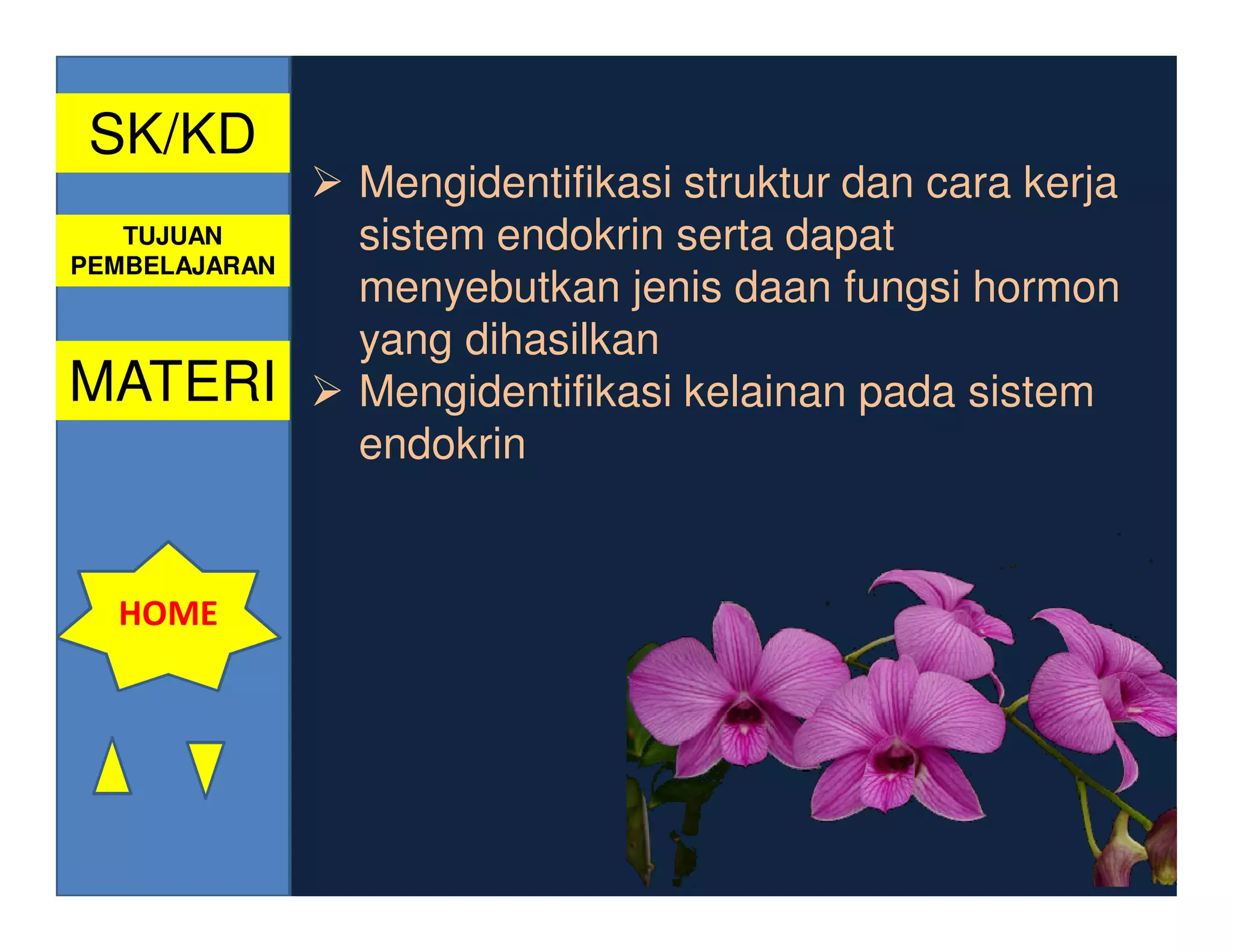 SK/KD
               Mengidentifikasi struktur dan cara kerja
   TUJUAN      sistem endokrin serta dapat
PEMBELAJARAN
               menyebutkan jenis daan fungsi hormon
               yang dihasilkan
MATERI         Mengidentifikasi kelainan pada sistem
               endokrin


  HOME
 