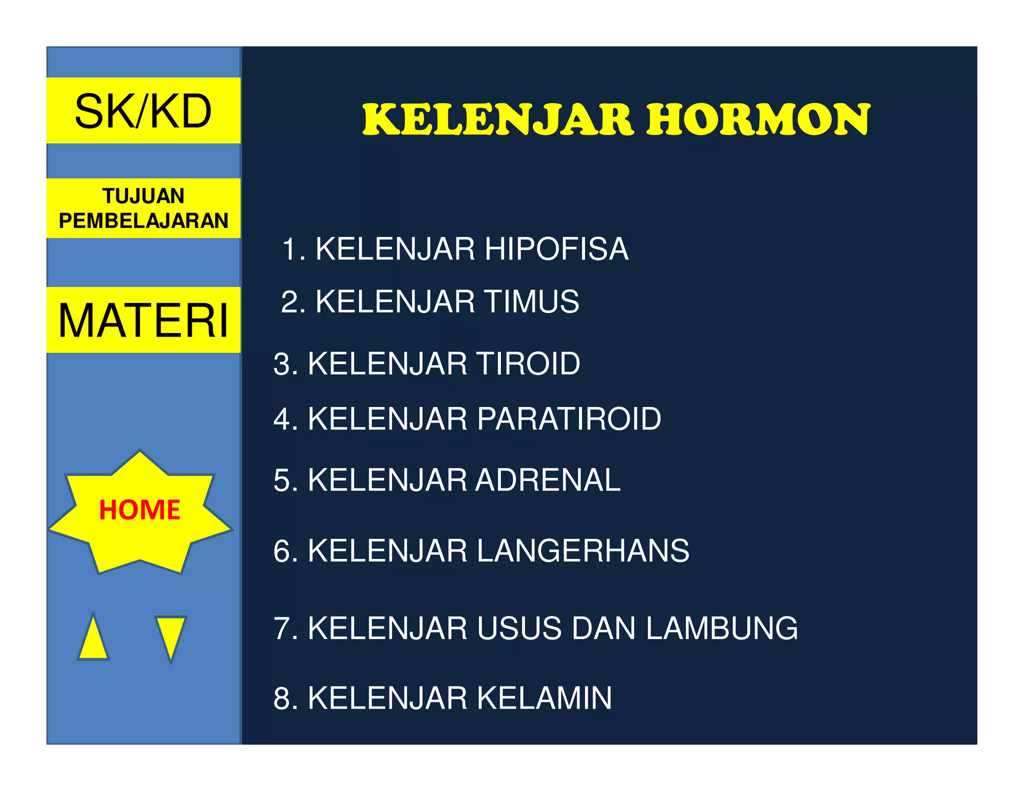 SK/KD              KELENJAR HORMON
   TUJUAN
PEMBELAJARAN
               1. KELENJAR HIPOFISA
               2. KELENJAR TIMUS
MATERI
               3. KELENJAR TIROID
               4. KELENJAR PARATIROID
               5. KELENJAR ADRENAL
  HOME
               6. KELENJAR LANGERHANS

               7. KELENJAR USUS DAN LAMBUNG

               8. KELENJAR KELAMIN
 