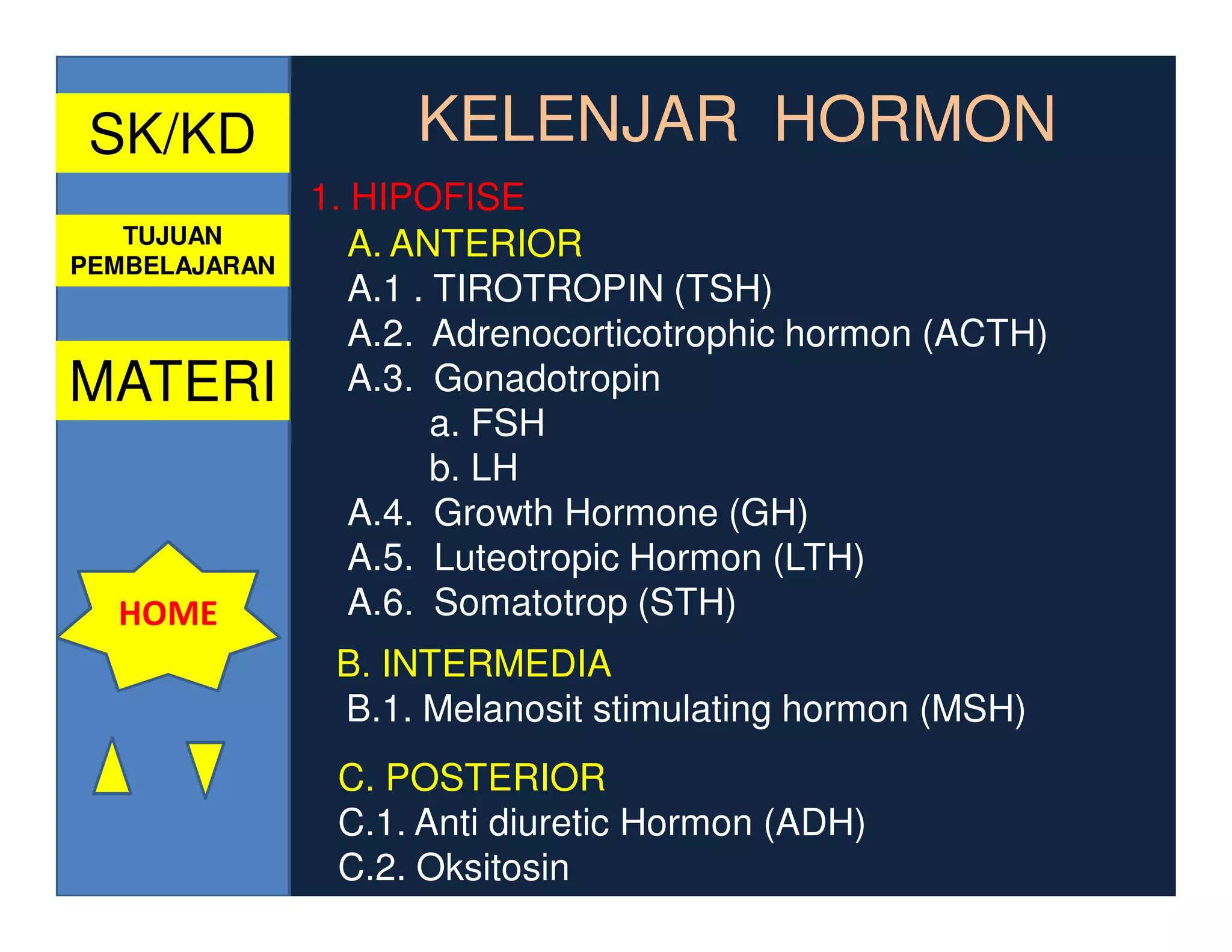 SK/KD               KELENJAR HORMON
               1. HIPOFISE
   TUJUAN         A. ANTERIOR
PEMBELAJARAN
                  A.1 . TIROTROPIN (TSH)
                  A.2. Adrenocorticotrophic hormon (ACTH)
MATERI            A.3. Gonadotropin
                        a. FSH
                        b. LH
                  A.4. Growth Hormone (GH)
                  A.5. Luteotropic Hormon (LTH)
  HOME            A.6. Somatotrop (STH)
                B. INTERMEDIA
                B.1. Melanosit stimulating hormon (MSH)
                C. POSTERIOR
                C.1. Anti diuretic Hormon (ADH)
                C.2. Oksitosin
 