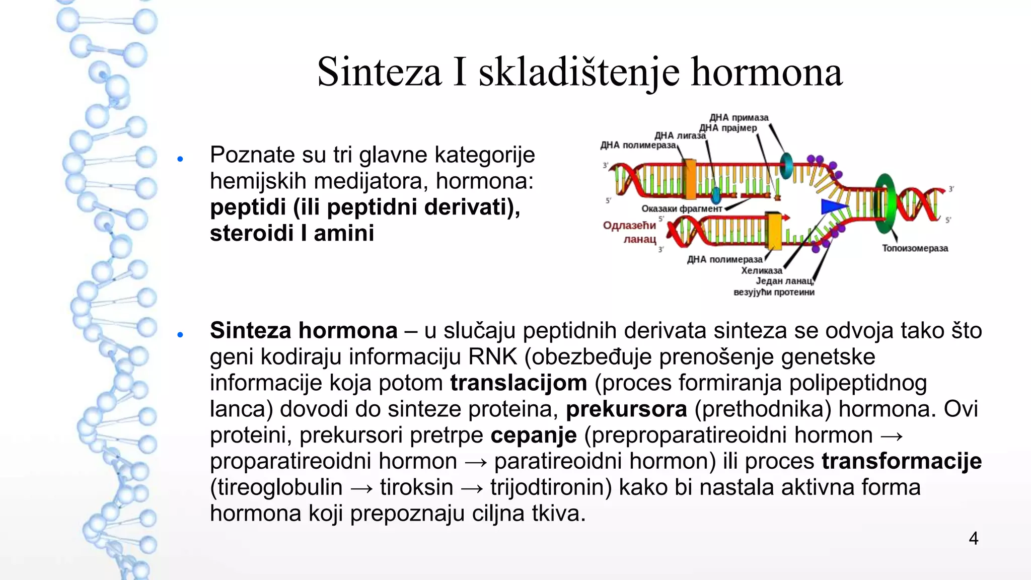 Endokrinologija - Interna medicina | PPT