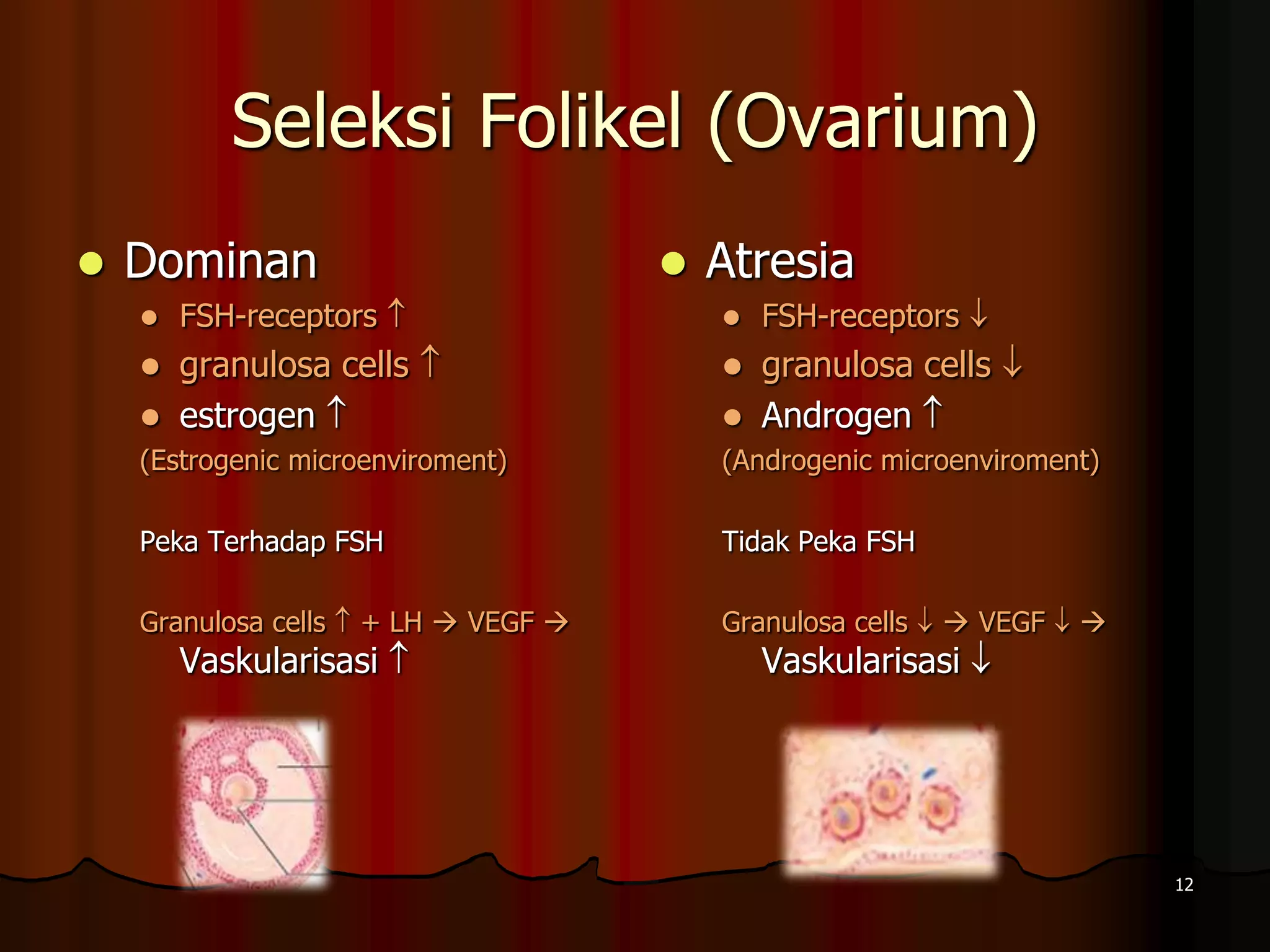Sverdlovsk viloyatidagi Kashino qishlogida uy qurilishi pornosi