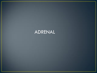 ADRENAL 