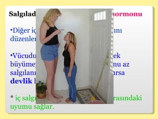 Salgıladığı hormon  Büyüme hormonu  Diğer iç salgı bezlerinin çalışmasını düzenler. Vücudumuzun genelini etkileyerek büyümeyi sağlar. Büyüme hormonu az salgılanırsa  cücelik,  çok salgılanırsa  devlik  hastalığına neden olur.  *  iç salgı bezleri ile sinir sistemi arasındaki uyumu sağlar. 