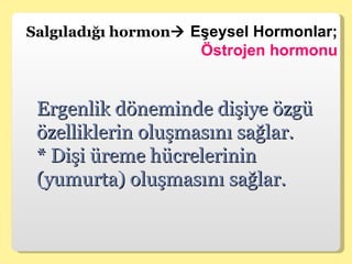 Salgıladığı hormon   Eşeysel Hormonlar;  Östrojen hormonu Ergenlik döneminde dişiye özgü özelliklerin oluşmasını sağlar. * Dişi üreme hücrelerinin (yumurta) oluşmasını sağlar. 