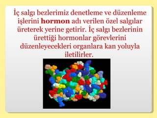 İç salgı bezlerimiz denetleme ve düzenleme işlerini  hormon  adı verilen özel salgılar üreterek yerine getirir. İç salgı bezlerinin ürettiği hormonlar görevlerini düzenleyecekleri organlara kan yoluyla iletilirler.  