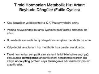 • Kas, karaciğer ve böbrekte Na-K ATPaz seviyelerini artırır.
• Pompa seviyesindeki bu artış, iyonların pasif olarak sızmasını da
artırır.
• Bu nedenle esasında bir iş ortaya konmamışken metabolik hız artar.
• Kalp debisi ve solunum hızı metabolik hıza paralel olarak artar.
• Tiroid hormonları sempatik sinir sistemi ile birlikte kahverengi yağ
dokusunda termogenezi artırarak enerji harcanmasını artırır. Bu
etkiye uncoupling protein veya termogenin adı verilen bir protein
aracılık eder.
Tiroid Hormonları Metabolik Hızı Artırır:
Beyhude Döngüler (Futile Cycles)
102
 