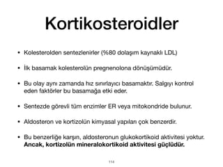Kortikosteroidler
• Kolesterolden sentezlenirler (%80 dolaşım kaynaklı LDL)
• İlk basamak kolesterolün pregnenolona dönüşümüdür.
• Bu olay aynı zamanda hız sınırlayıcı basamaktır. Salgıyı kontrol
eden faktörler bu basamağa etki eder.
• Sentezde görevli tüm enzimler ER veya mitokondride bulunur.
• Aldosteron ve kortizolün kimyasal yapıları çok benzerdir.
• Bu benzerliğe karşın, aldosteronun glukokortikoid aktivitesi yoktur.
Ancak, kortizolün mineralokortikoid aktivitesi güçlüdür.
114
 