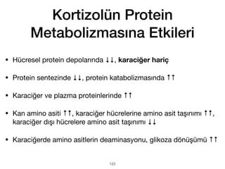Kortizolün Protein
Metabolizmasına Etkileri
• Hücresel protein depolarında ↓↓, karaciğer hariç
• Protein sentezinde ↓↓, protein katabolizmasında ↑↑
• Karaciğer ve plazma proteinlerinde ↑↑
• Kan amino asiti ↑↑, karaciğer hücrelerine amino asit taşınımı ↑↑,
karaciğer dışı hücrelere amino asit taşınımı ↓↓
• Karaciğerde amino asitlerin deaminasyonu, glikoza dönüşümü ↑↑
123
 