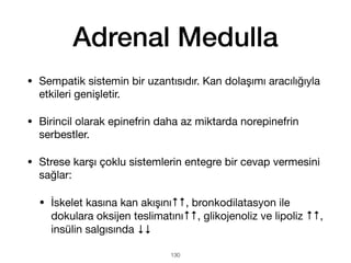 Adrenal Medulla
• Sempatik sistemin bir uzantısıdır. Kan dolaşımı aracılığıyla
etkileri genişletir.
• Birincil olarak epinefrin daha az miktarda norepinefrin
serbestler.
• Strese karşı çoklu sistemlerin entegre bir cevap vermesini
sağlar:
• İskelet kasına kan akışını↑↑, bronkodilatasyon ile
dokulara oksijen teslimatını↑↑, glikojenoliz ve lipoliz ↑↑,
insülin salgısında ↓↓
130
 