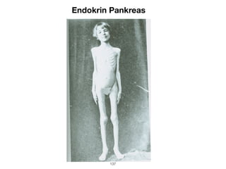 Endokrin Pankreas
137
 