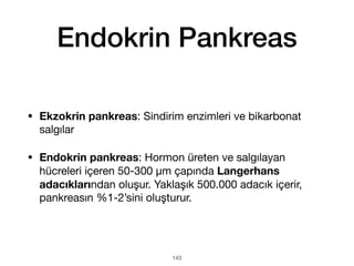 Endokrin Pankreas
• Ekzokrin pankreas: Sindirim enzimleri ve bikarbonat
salgılar
• Endokrin pankreas: Hormon üreten ve salgılayan
hücreleri içeren 50-300 μm çapında Langerhans
adacıklarından oluşur. Yaklaşık 500.000 adacık içerir,
pankreasın %1-2’sini oluşturur.
143
 