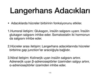Langerhans Adacıkları
• Adacıklarda hücreler birbirinin fonksiyonunu etkiler.
1.Humoral iletişim: Glukagon, insülin salgısını uyarır. İnsülin
glukagon salgısını inhibe eder. Somatostatin iki hormonun
da salgısını inhibe eder.
2.Hücreler arası iletişim: Langerhans adacıklarında hücreler
birbirine gap junction’lar aracılığıyla bağlıdır.
3.Nöral iletişim: Kolinerjik uyarı insülin salgısını artırır.
Adrenerjik uyarı β-adrenoseptörler üzerinden salgıyı artırır,
α-adrenoseptörler üzerinden inhibe eder.
145
 
