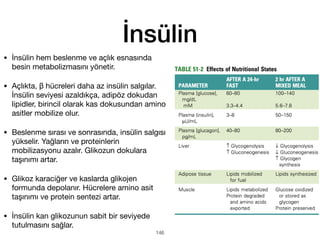 İnsülin
• İnsülin hem beslenme ve açlık esnasında
besin metabolizmasını yönetir.
• Açlıkta, β hücreleri daha az insülin salgılar.
İnsülin seviyesi azaldıkça, adipöz dokudan
lipidler, birincil olarak kas dokusundan amino
asitler mobilize olur.
• Beslenme sırası ve sonrasında, insülin salgısı
yükselir. Yağların ve proteinlerin
mobilizasyonu azalır. Glikozun dokulara
taşınımı artar.
• Glikoz karaciğer ve kaslarda glikojen
formunda depolanır. Hücrelere amino asit
taşınımı ve protein sentezi artar.
• İnsülin kan glikozunun sabit bir seviyede
tutulmasını sağlar.
146
 
