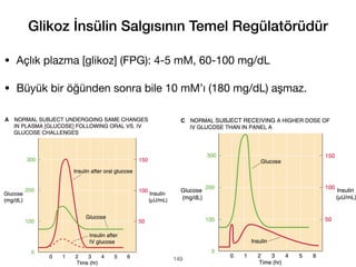 Glikoz İnsülin Salgısının Temel Regülatörüdür
• Açlık plazma [glikoz] (FPG): 4-5 mM, 60-100 mg/dL
• Büyük bir öğünden sonra bile 10 mM’ı (180 mg/dL) aşmaz.
149
 