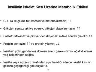 İnsülinin İskelet Kası Üzerine Metabolik Etkileri
• GLUT4 ile glikoz tutulmasını ve metabolizmasını ↑↑
• Glikojen sentazı aktive ederek, glikojen depolanmasını ↑↑
• Fosfofruktokinaz ve pirüvat dehidrojenazı aktive ederek glikolizi ↑↑
• Protein sentezini ↑↑ ve protein yıkımını ↓↓
• İnsülinin yokluğunda kas dokusu enerji gereksinimini ağırlıklı olarak
yağ asitlerinden sağlar.
• İnsülin veya egzersiz tarafından uyarılmadığı sürece iskelet kasının
glikoza geçirgenliği çok düşüktür.
160
 