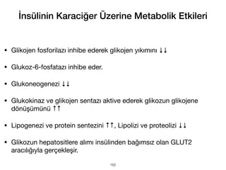 İnsülinin Karaciğer Üzerine Metabolik Etkileri
• Glikojen fosforilazı inhibe ederek glikojen yıkımını ↓↓
• Glukoz-6-fosfatazı inhibe eder.
• Glukoneogenezi ↓↓
• Glukokinaz ve glikojen sentazı aktive ederek glikozun glikojene
dönüşümünü ↑↑
• Lipogenezi ve protein sentezini ↑↑, Lipolizi ve proteolizi ↓↓
• Glikozun hepatositlere alımı insülinden bağımsız olan GLUT2
aracılığıyla gerçekleşir.
162
 