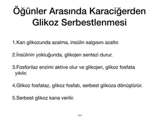 Öğünler Arasında Karaciğerden
Glikoz Serbestlenmesi
1.Kan glikozunda azalma, insülin salgısını azaltır.
2.İnsülinin yokluğunda, glikojen sentezi durur.
3.Fosforilaz enzimi aktive olur ve glikojen, glikoz fosfata
yıkılır.
4.Glikoz fosfataz, glikoz fosfatı, serbest glikoza dönüştürür.
5.Serbest glikoz kana verilir.
163
 