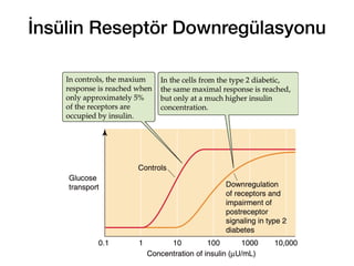 İnsülin Reseptör Downregülasyonu
172
 