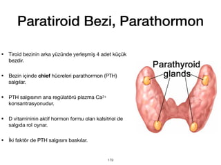 Paratiroid Bezi, Parathormon
• Tiroid bezinin arka yüzünde yerleşmiş 4 adet küçük
bezdir.
• Bezin içinde chief hücreleri parathormon (PTH)
salgılar.
• PTH salgısının ana regülatörü plazma Ca2+
konsantrasyonudur.
• D vitamininin aktif hormon formu olan kalsitriol de
salgıda rol oynar.
• İki faktör de PTH salgısını baskılar.
179
 