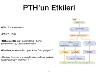 PTH’un Etkileri
•PTH1R→Adenil siklaz
•PTH2R→PLC
•Böbreklerden Ca2+ geriemilimini↑↑, PO4
geriemilimini↓↓, kalsitriol sentezini↑↑
•Kemikte, osteoklastları uyarır, kana Ca2+ geçişini↑↑
•Kalstriol üretimini artırmasıyla, dolaylı olarak sindirim
kanalından Ca2+ emilimini↑↑
181
 