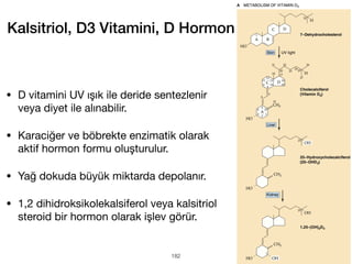 Kalsitriol, D3 Vitamini, D Hormon
• D vitamini UV ışık ile deride sentezlenir
veya diyet ile alınabilir.
• Karaciğer ve böbrekte enzimatik olarak
aktif hormon formu oluşturulur.
• Yağ dokuda büyük miktarda depolanır.
• 1,2 dihidroksikolekalsiferol veya kalsitriol
steroid bir hormon olarak işlev görür.
182
 