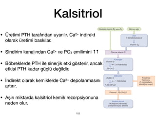 Kalsitriol
• Üretimi PTH tarafından uyarılır. Ca2+ indirekt
olarak üretimi baskılar.
• Sindirim kanalından Ca2+ ve PO4 emilimini ↑↑
• Böbreklerde PTH ile sinerjik etki gösterir, ancak
etkisi PTH kadar güçlü değildir.
• İndirekt olarak kemiklerde Ca2+ depolanmasını
artırır.
• Aşırı miktarda kalsitriol kemik rezorpsiyonuna
neden olur.
183
 