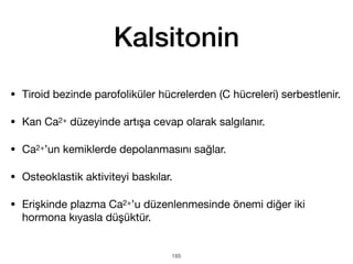 Kalsitonin
• Tiroid bezinde parofoliküler hücrelerden (C hücreleri) serbestlenir.
• Kan Ca2+ düzeyinde artışa cevap olarak salgılanır.
• Ca2+’un kemiklerde depolanmasını sağlar.
• Osteoklastik aktiviteyi baskılar.
• Erişkinde plazma Ca2+’u düzenlenmesinde önemi diğer iki
hormona kıyasla düşüktür.
185
 