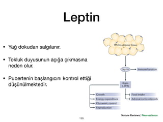 Leptin
• Yağ dokudan salgılanır.
• Tokluk duyusunun açığa çıkmasına
neden olur.
• Pubertenin başlangıcını kontrol ettiği
düşünülmektedir.
189
 