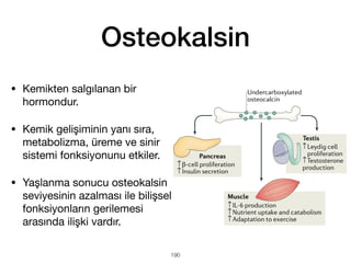 Osteokalsin
• Kemikten salgılanan bir
hormondur.
• Kemik gelişiminin yanı sıra,
metabolizma, üreme ve sinir
sistemi fonksiyonunu etkiler.
• Yaşlanma sonucu osteokalsin
seviyesinin azalması ile bilişsel
fonksiyonların gerilemesi
arasında ilişki vardır.
190
 