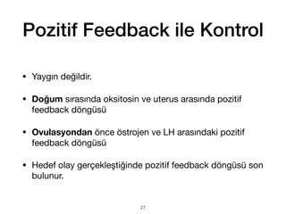 Pozitif Feedback ile Kontrol
• Yaygın değildir.
• Doğum sırasında oksitosin ve uterus arasında pozitif
feedback döngüsü
• Ovulasyondan önce östrojen ve LH arasındaki pozitif
feedback döngüsü
• Hedef olay gerçekleştiğinde pozitif feedback döngüsü son
bulunur.
27
 