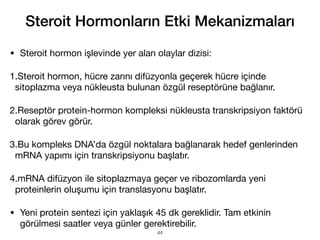 • Steroit hormon işlevinde yer alan olaylar dizisi:
1.Steroit hormon, hücre zarını difüzyonla geçerek hücre içinde
sitoplazma veya nükleusta bulunan özgül reseptörüne bağlanır.
2.Reseptör protein-hormon kompleksi nükleusta transkripsiyon faktörü
olarak görev görür.
3.Bu kompleks DNA’da özgül noktalara bağlanarak hedef genlerinden
mRNA yapımı için transkripsiyonu başlatır.
4.mRNA difüzyon ile sitoplazmaya geçer ve ribozomlarda yeni
proteinlerin oluşumu için translasyonu başlatır.
• Yeni protein sentezi için yaklaşık 45 dk gereklidir. Tam etkinin
görülmesi saatler veya günler gerektirebilir.
Steroit Hormonların Etki Mekanizmaları
44
 