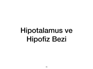 Hipotalamus ve
Hipo
fi
z Bezi
49
 