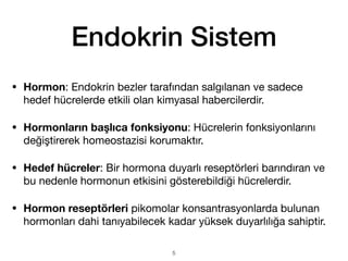 Endokrin Sistem
• Hormon: Endokrin bezler tarafından salgılanan ve sadece
hedef hücrelerde etkili olan kimyasal habercilerdir.
• Hormonların başlıca fonksiyonu: Hücrelerin fonksiyonlarını
değiştirerek homeostazisi korumaktır.
• Hedef hücreler: Bir hormona duyarlı reseptörleri barındıran ve
bu nedenle hormonun etkisini gösterebildiği hücrelerdir.
• Hormon reseptörleri pikomolar konsantrasyonlarda bulunan
hormonları dahi tanıyabilecek kadar yüksek duyarlılığa sahiptir.
5
 