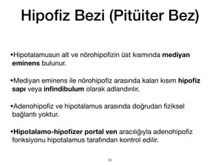 •Hipotalamusun alt ve nörohipo
fi
zin üst kısmında mediyan
eminens bulunur.
•Mediyan eminens ile nörohipo
fi
z arasında kalan kısım hipo
fi
z
sapı veya in
fi
ndibulum olarak adlandırılır.
•Adenohipo
fi
z ve hipotalamus arasında doğrudan
fi
ziksel
bağlantı yoktur.
•Hipotalamo-hipo
fi
zer portal ven aracılığıyla adenohipo
fi
z
fonksiyonu hipotalamus tarafından kontrol edilir.
Hipo
fi
z Bezi (Pitüiter Bez)
52
 