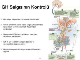 GH Salgısının Kontrolü
• GH salgısı negatif-feedback ile de kontrol edilir.
• GH’un etkilerinin büyük kısmı, salgısı GH tarafından
lokal olarak kontrol edilen IGF-1 üzerinden
gerçekleşir.
• Dolaşımdaki IGF-1’in büyük kısmı karaciğer
tarafından serbestlenir.
• IGF-1, GH ve GHRH salgısını baskılar ve
somatostatin salgısını artırır.
• GH kendi salgısı üzerine ayrıca negatif-feedback
uygular.
72
 