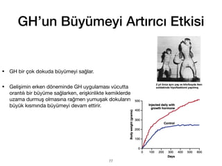 GH’un Büyümeyi Artırıcı Etkisi
• GH bir çok dokuda büyümeyi sağlar.
• Gelişimin erken döneminde GH uygulaması vücutta
orantılı bir büyüme sağlarken, erişkinlikte kemiklerde
uzama durmuş olmasına rağmen yumuşak dokuların
büyük kısmında büyümeyi devam ettirir.
77
 
