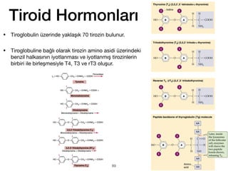• Tiroglobulin üzerinde yaklaşık 70 tirozin bulunur.
• Tiroglobuline bağlı olarak tirozin amino asidi üzerindeki
benzil halkasının iyotlanması ve iyotlanmış tirozinlerin
birbiri ile birleşmesiyle T4, T3 ve rT3 oluşur.
Tiroid Hormonları
89
 