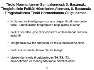 • İyotlanma ve konjügasyon sonucu oluşan tiroid hormonları
folikül lümeni içinde tiroglobuline bağlı olarak bulunur.
• Folikül hücreleri içine alınıp hidrolize edilene kadar hormon
inaktiftir.
• Tiroglobulin sıvı-faz endositoz ile folikül hücrelerine alınır.
• Endositik veziküller lizozomlar ile birleşir.
• Lizozomlar içinde tiroglobulinden T4, T3, rT3,
diiyodotironin ve monoiyodotironin hidrolize edilir.
Tiroid Hormonlarının Sentezlenmesi: 5. Basamak:
Tiroglobulinin Folikül Hücrelerine Alınması, 6. Basamak:
Tiroglobulinden Tiroid Hormonlarının Oluşturulması
93
 